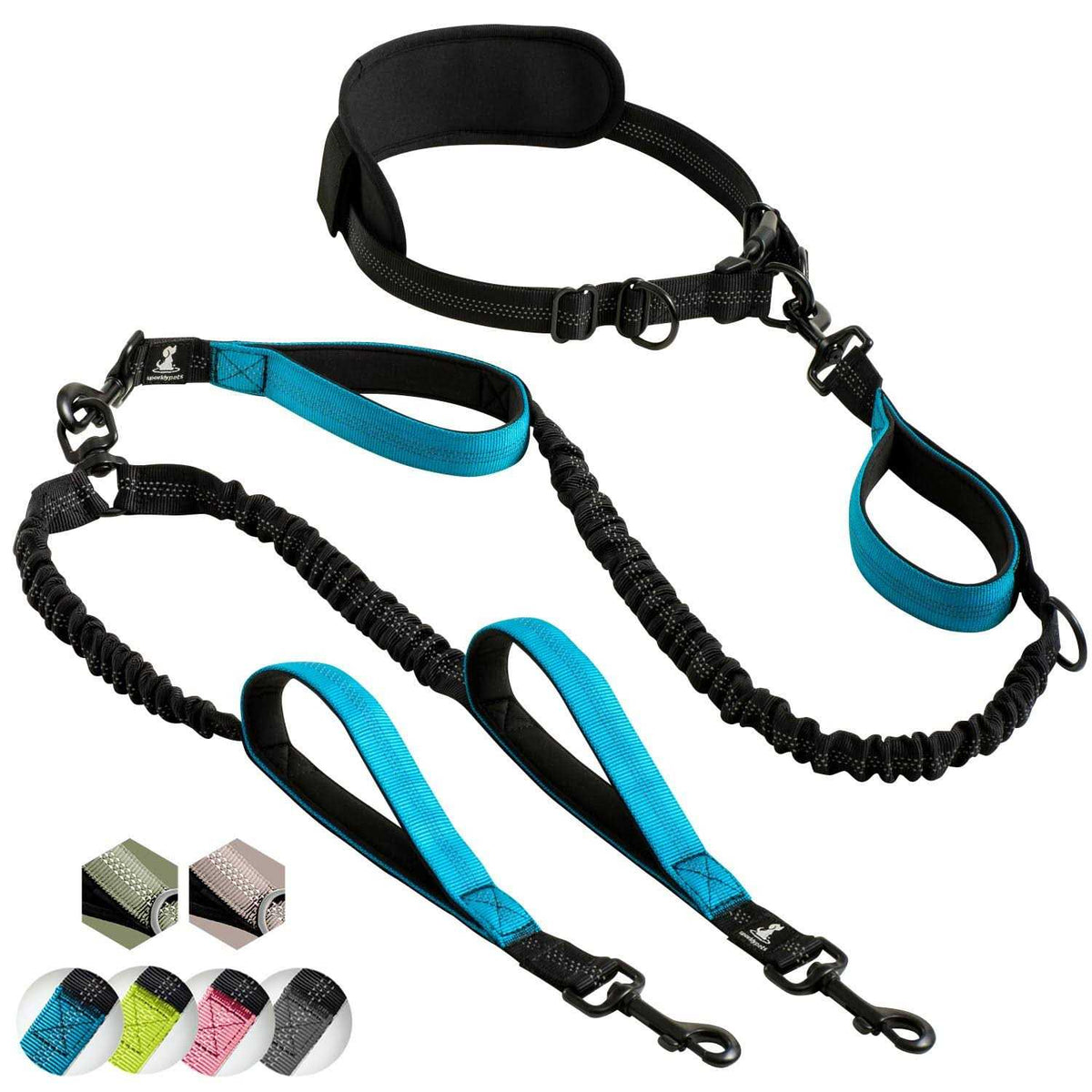 Hands Free Double Dog Leash I3655