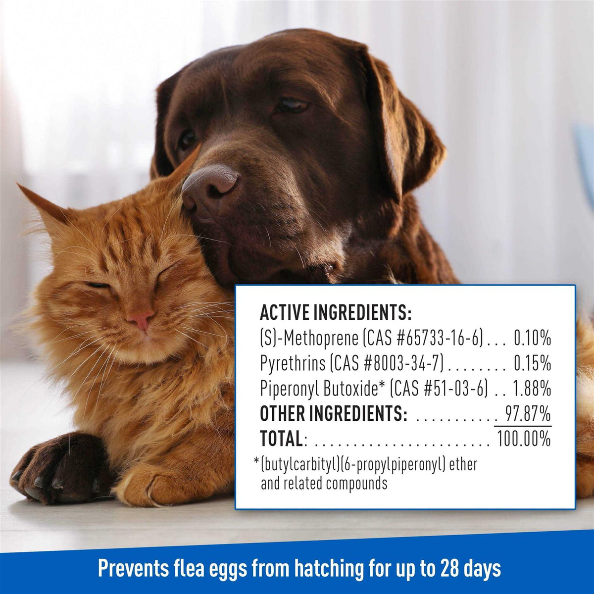 Flea Tick Shampoo J391