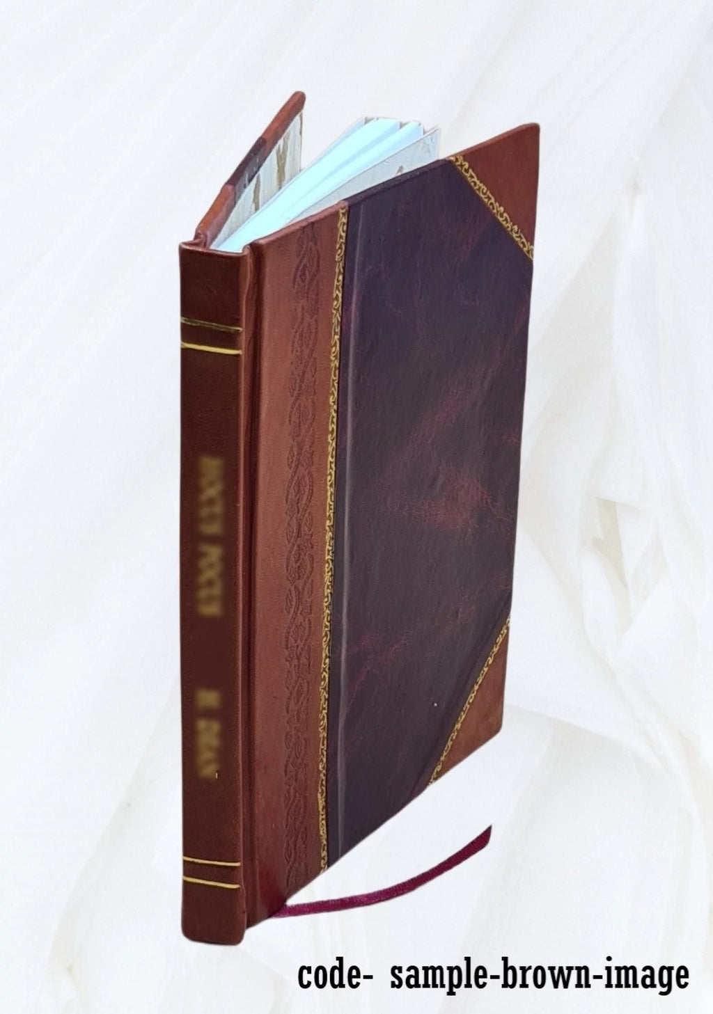 Nebraska laws of special interest to women O944709