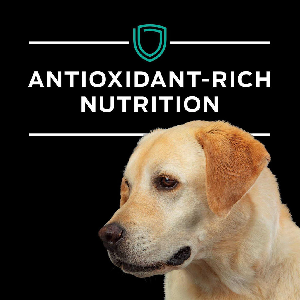 EN Gastroenteric Formula Dry Dog Food D4788