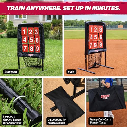 9 Hole Pitching Net with Strike Zone Target C65254