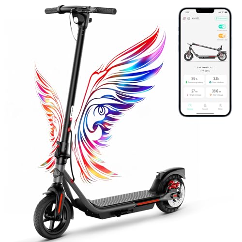 Electric Scooter with Dual Brakes N7068