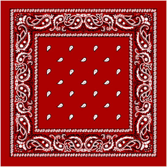 Red Paisley Bandana Case of 144 V7465