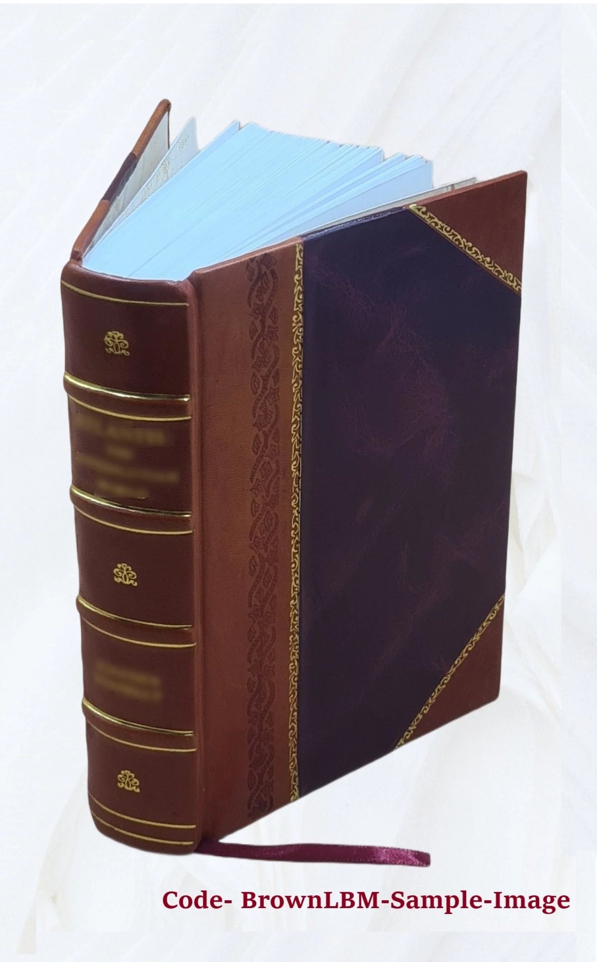 Leather Bound Book L296622