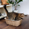 Disposable Cat Litter Box M384