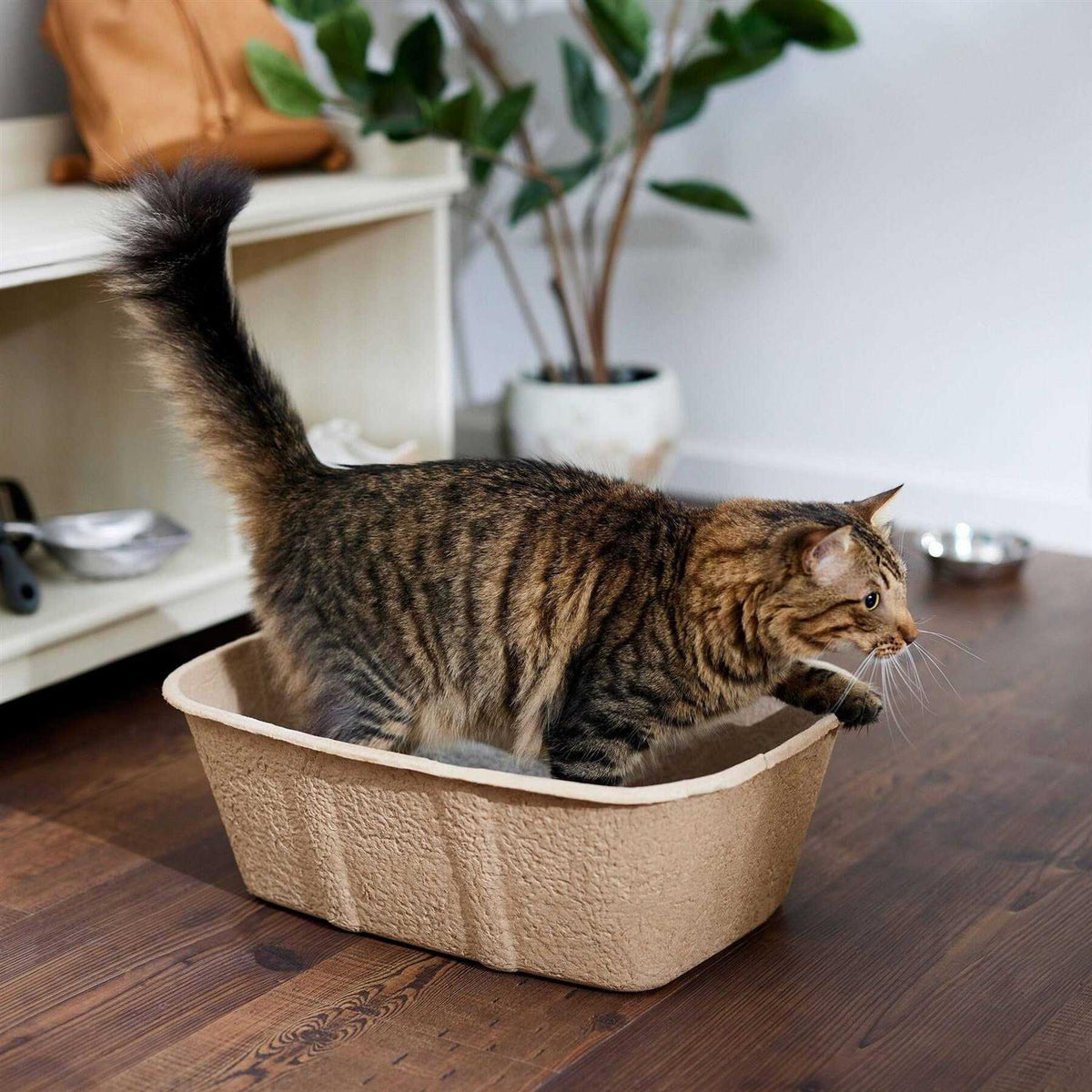 Disposable Cat Litter Box M384