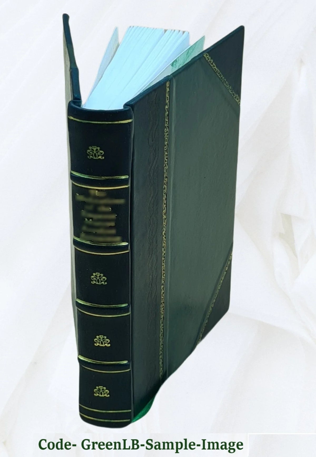 Leather Bound Book S839