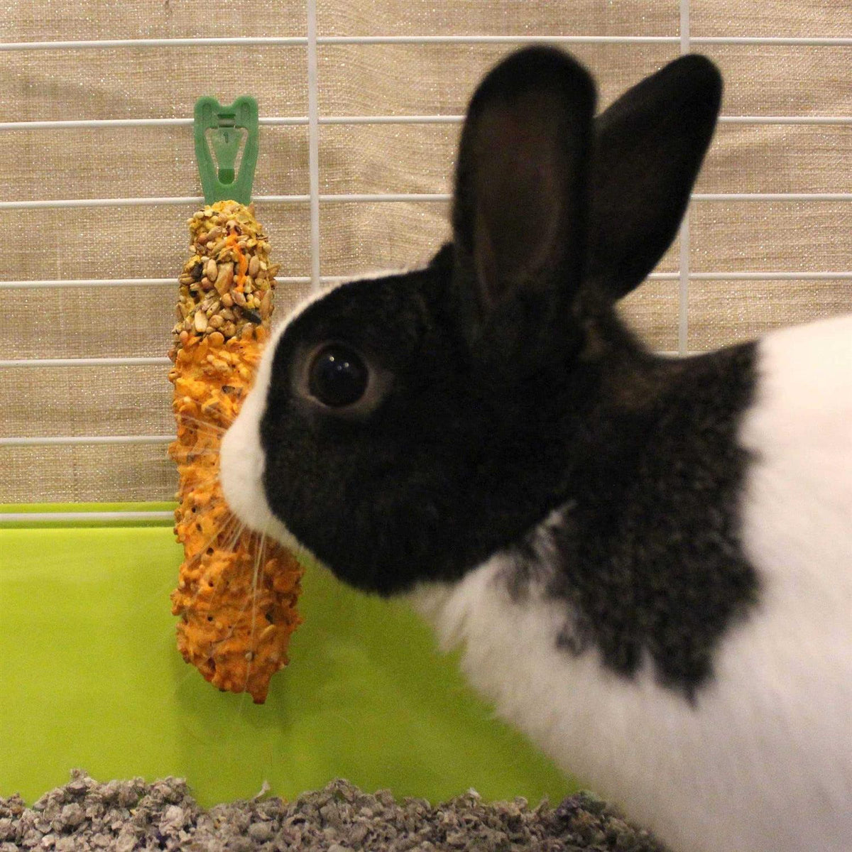 Crunch Sticks Guinea Pig V2789