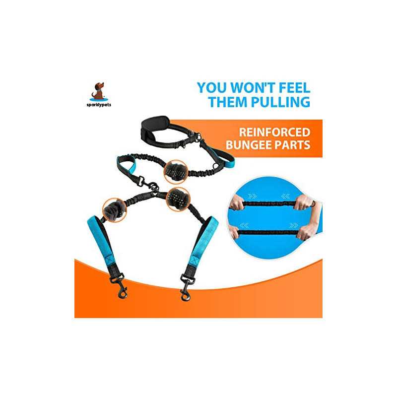 Hands Free Double Dog Leash I3655