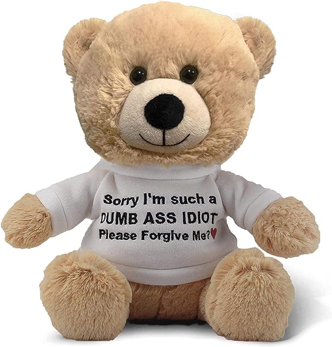 Teddy Bear with Gift Bag D930369