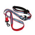 Dog Leash S478169