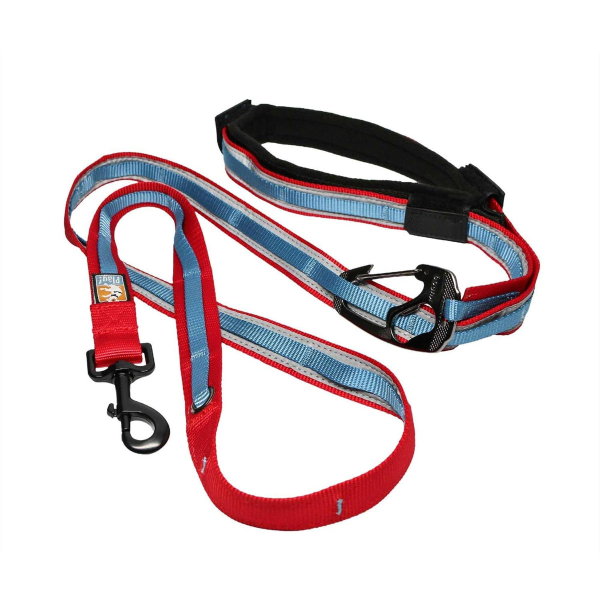 Dog Leash S478169