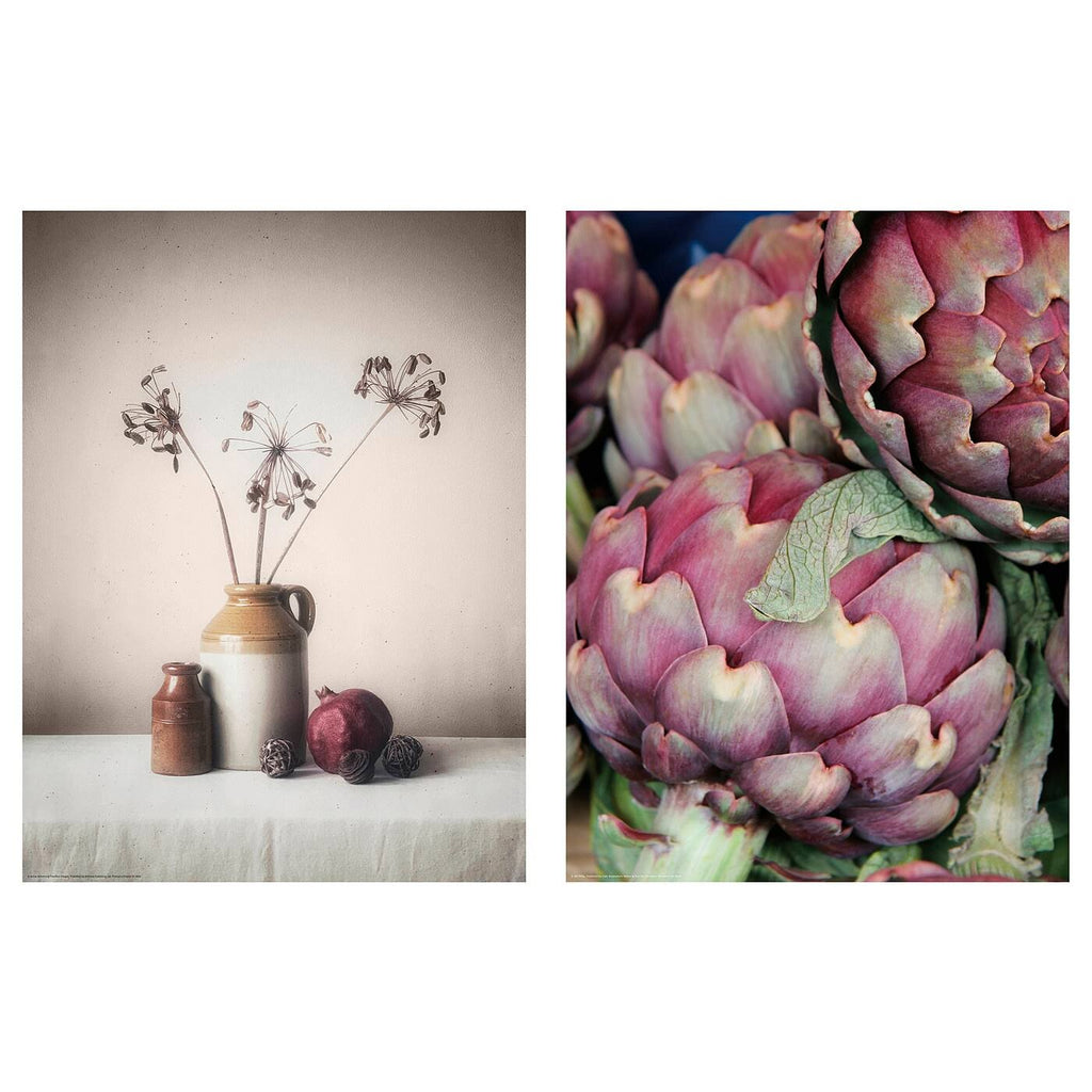 Artichokes Poster 12x16 W635800