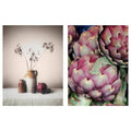 Artichokes Poster 12x16 W635800
