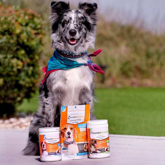 Hemp Calming Chews F690