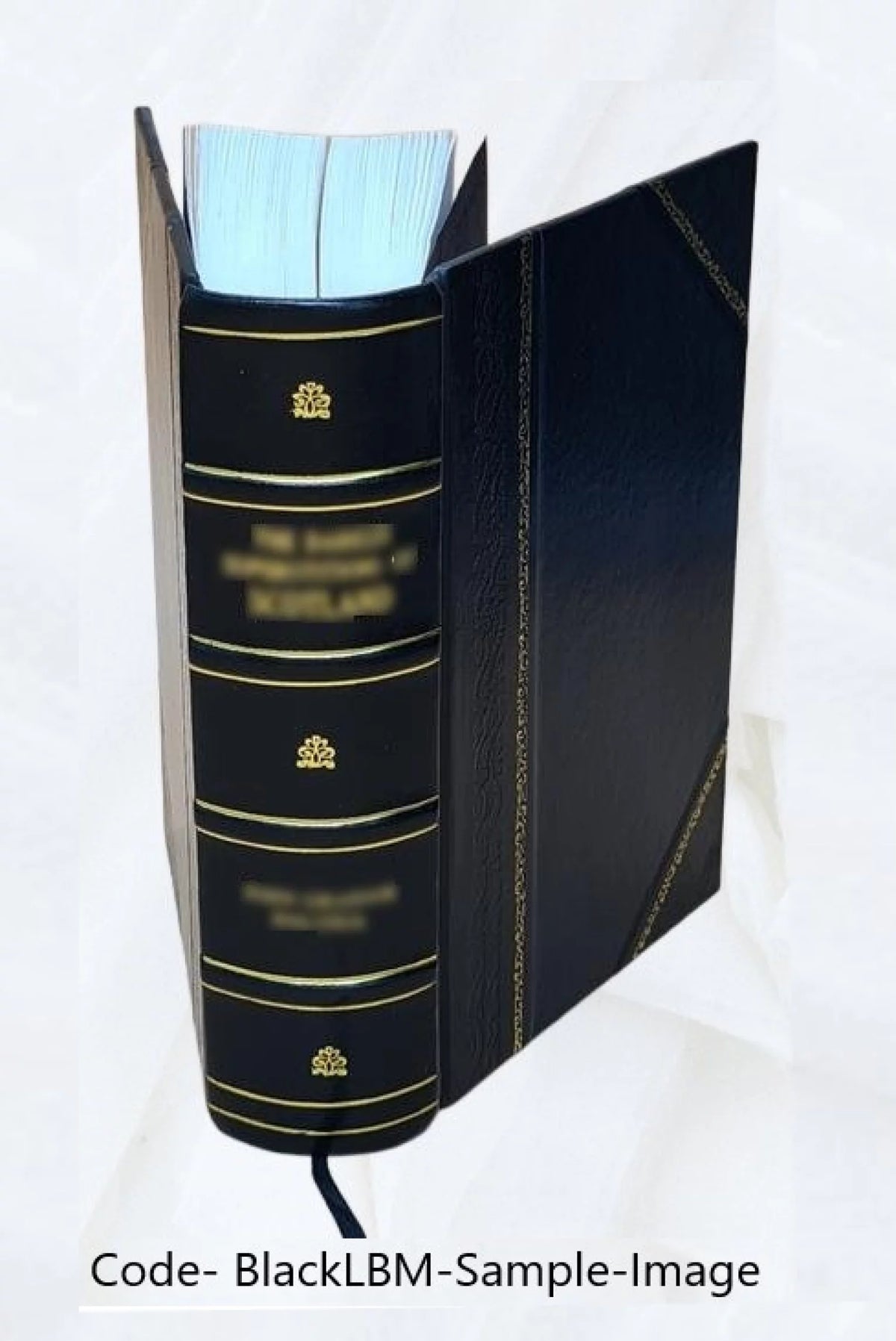 Leather Bound Book L296622