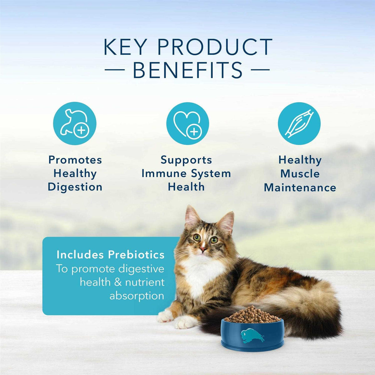 Adult Cat Dry Food W328071