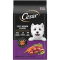 Spring Vegetables Dry Dog Food V438