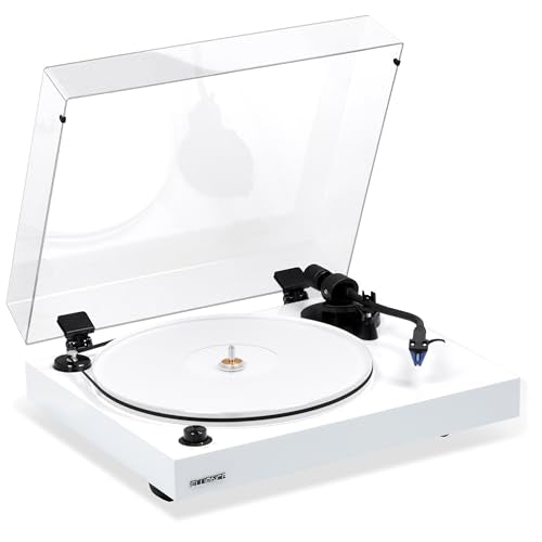 Bamboo Vinyl Turntable Record Player J4797