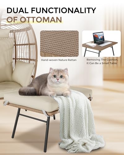 Grey Wicker Egg Chair with Ottoman P775886
