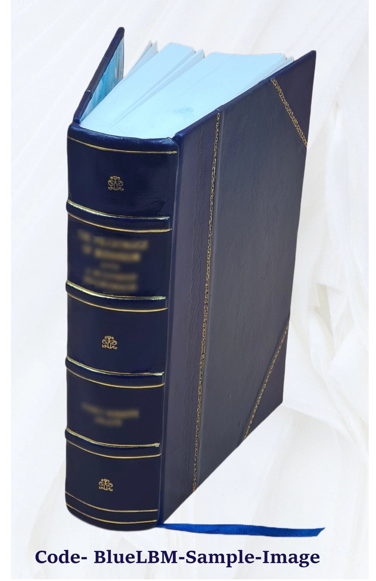 Leather Bound Book L296622