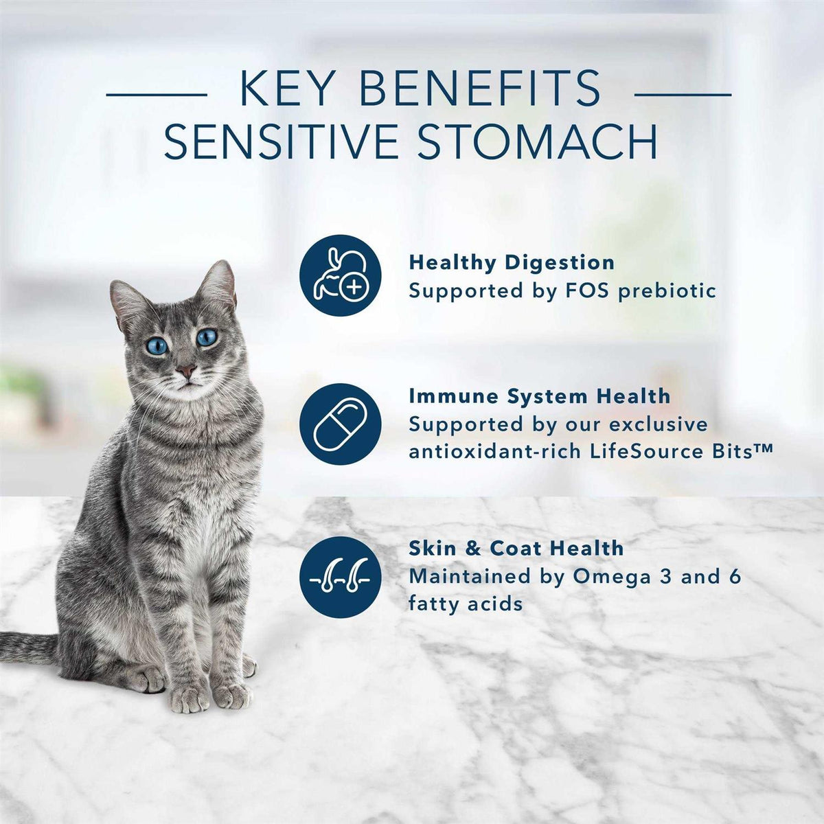 Adult Cat Dry Food W328071