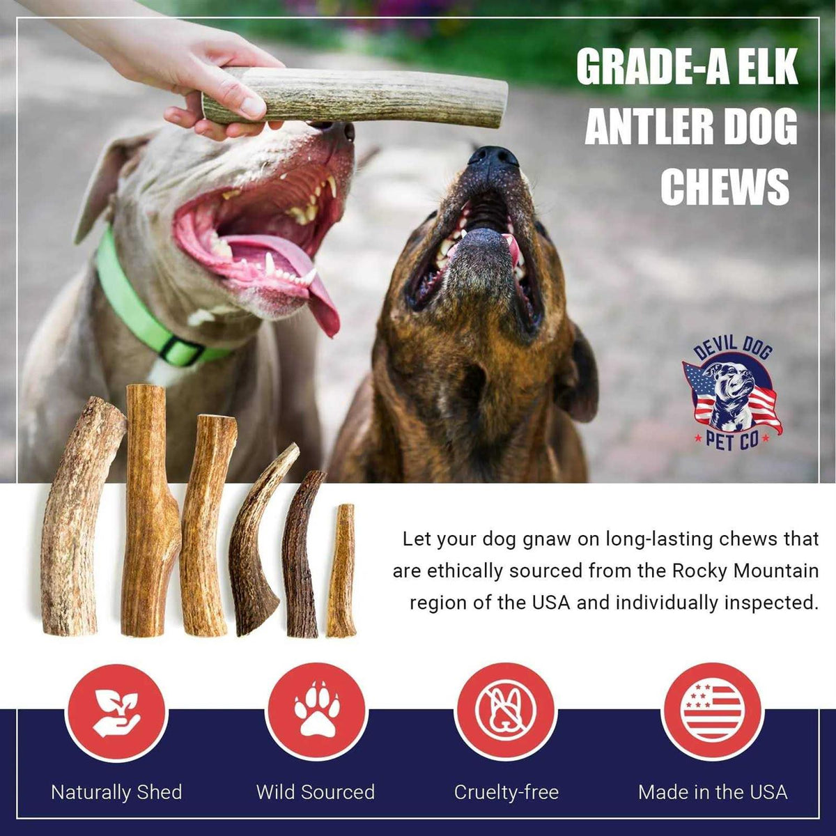 Elk Antler Dog Chew U377