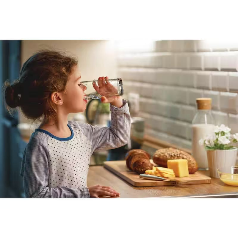 Refrigerator Water Filter Set of 2 G7541