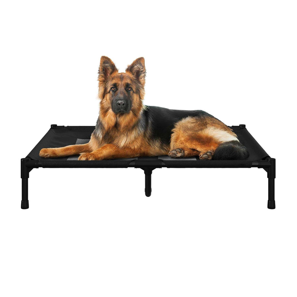 Cot-Style Elevated Pet Bed V6548