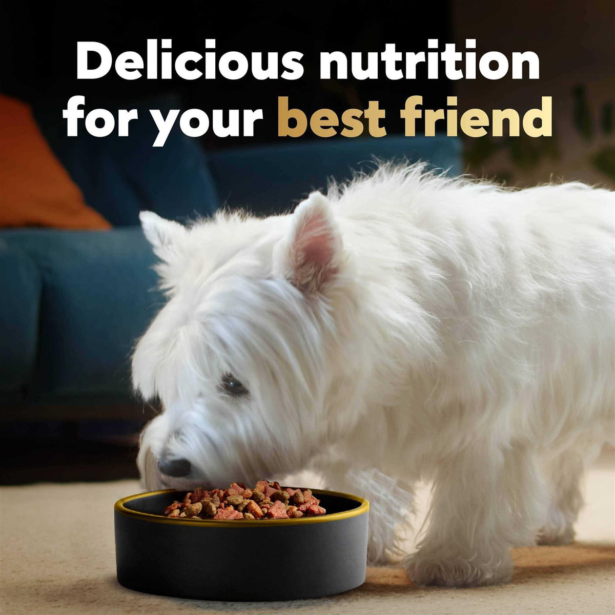 Spring Vegetables Dry Dog Food V438