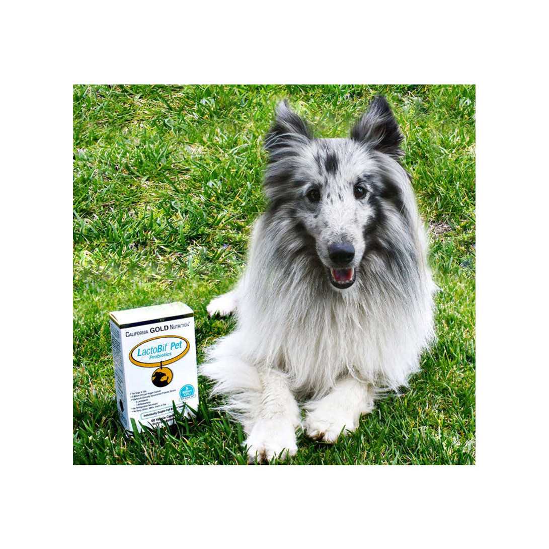 Pet Probiotics T588