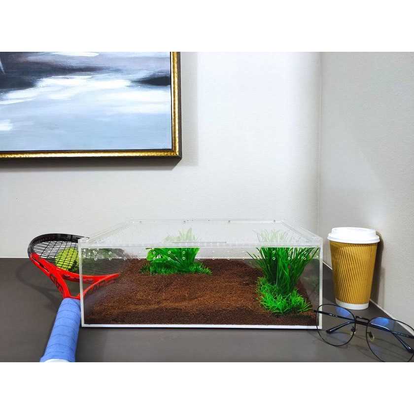 Acrylic Insect & Reptile Terrarium S41944