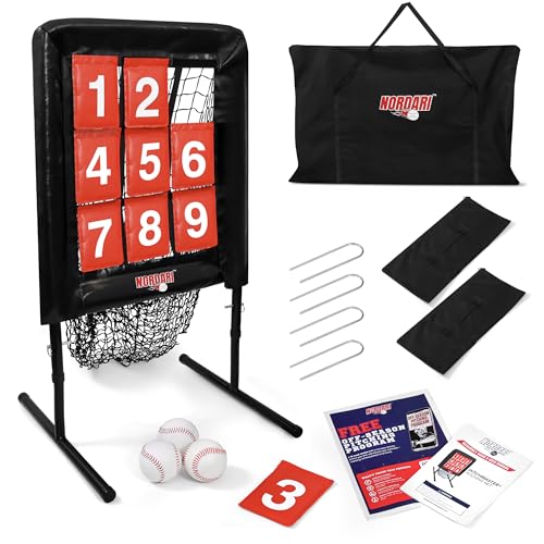 9 Hole Pitching Net with Strike Zone Target C65254