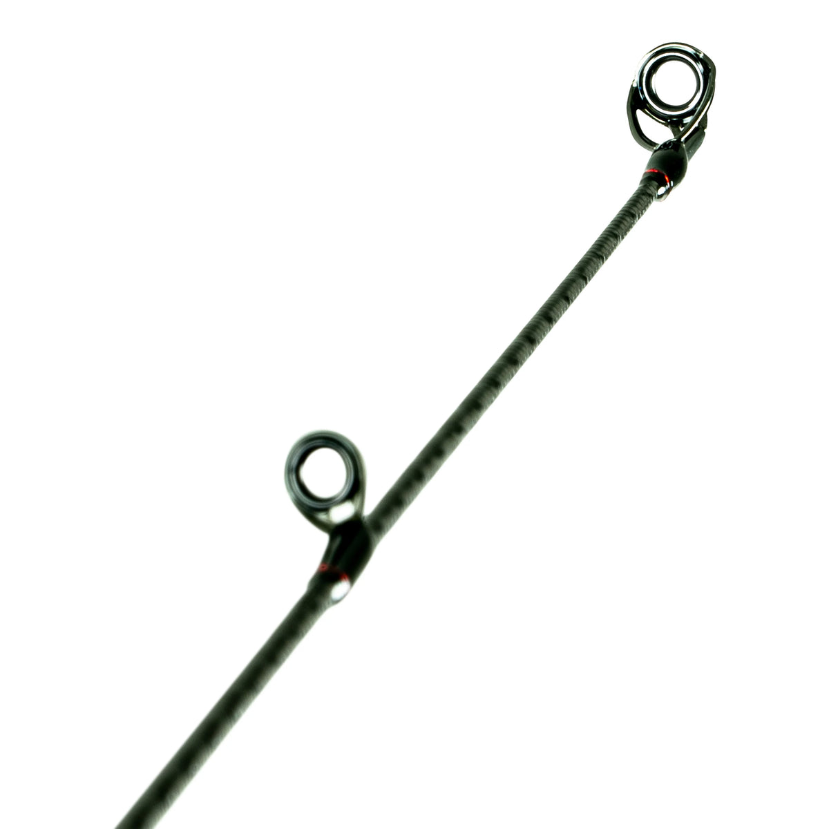 Freshwater Spinning Bass L4526
