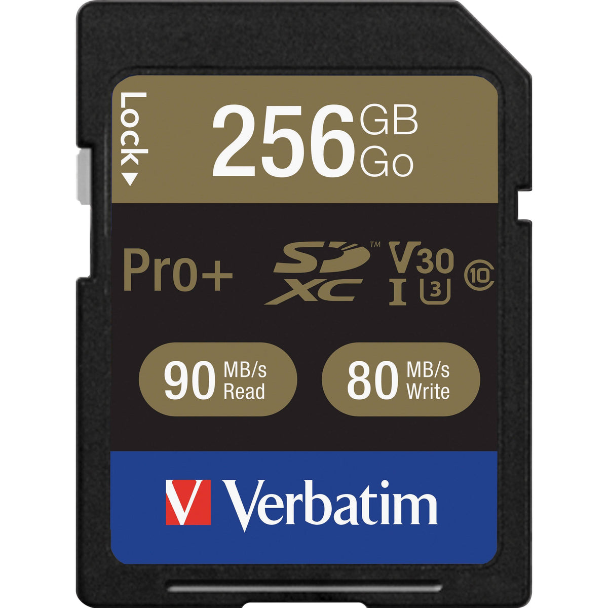 256 GB SDXC Memory Card B653858