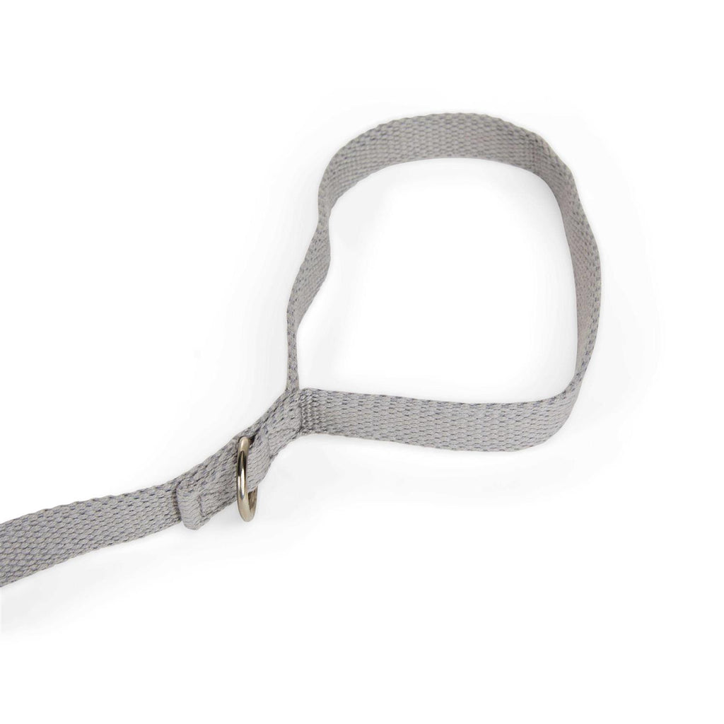 Adjustable Recall Training Dog Lead V458