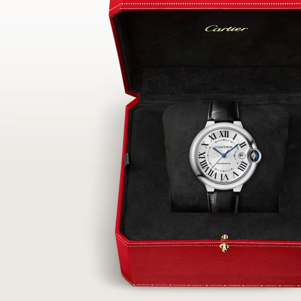 42mm Watch W754