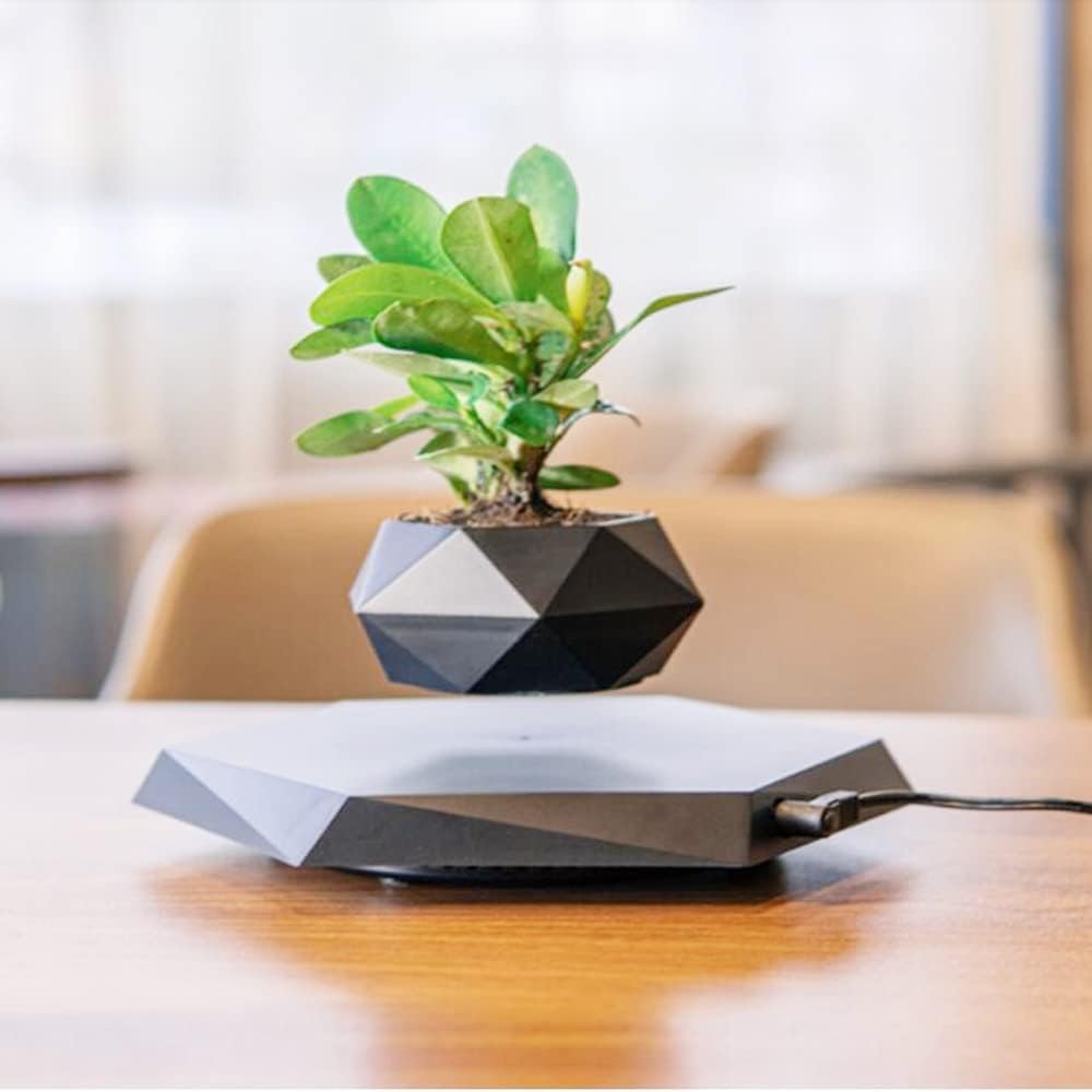 Floating Magnetic Levitating Flower Pot U81698