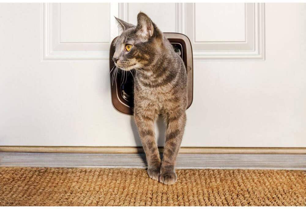 Brown 4 Way Locking Cat Flap S394