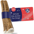 Elk Antler Dog Chew U377