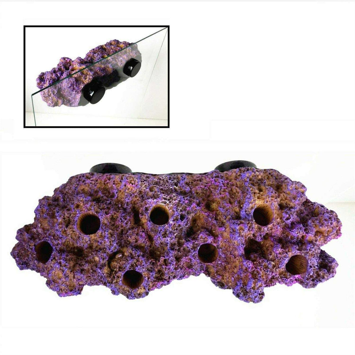 Magnetic Coral Frag Rack for 12 Glass R40740