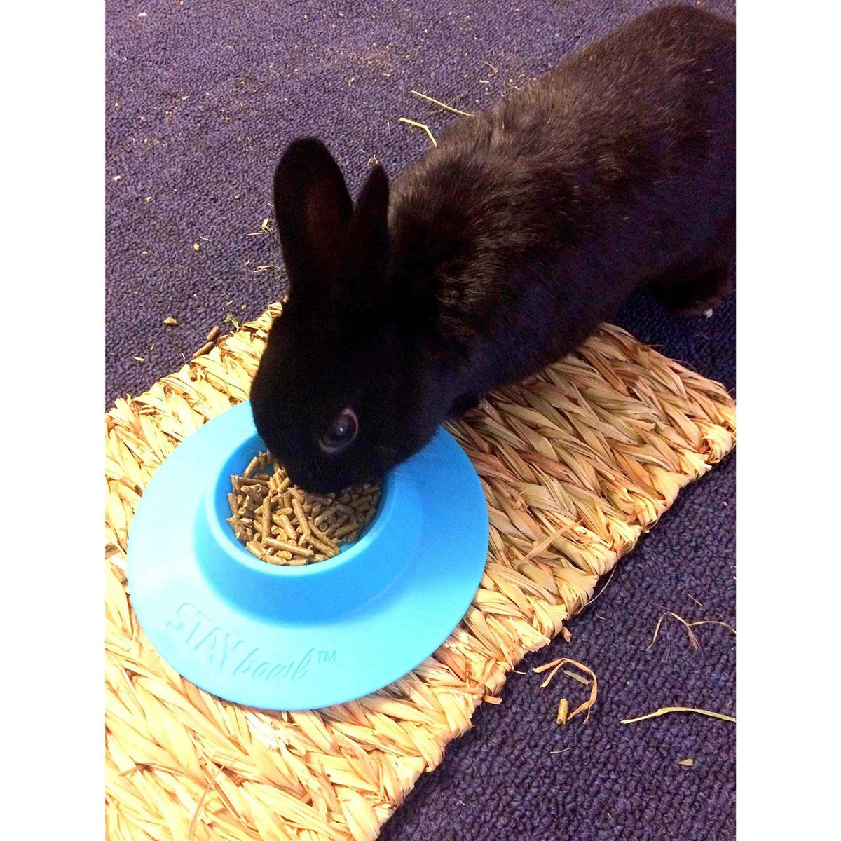 Tip-Proof Bowl for Guinea Pigs and Small Pets M670587