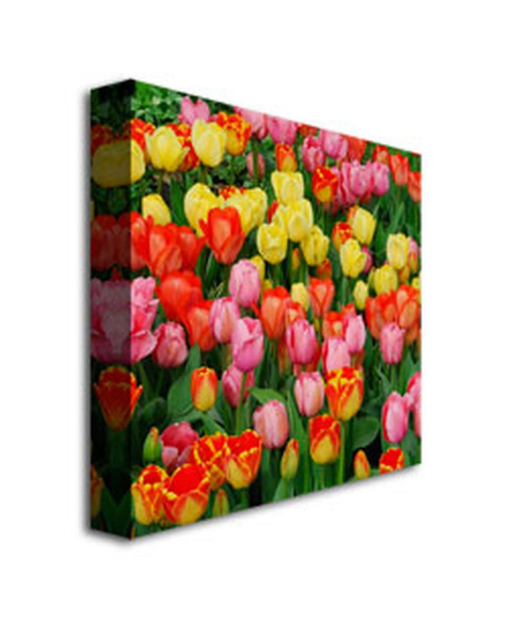 Canvas Art O80636