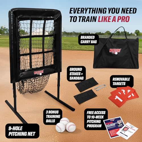 9 Hole Pitching Net with Strike Zone Target C65254