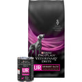 UR Ox/St Urinary Dry Dog Food V482168