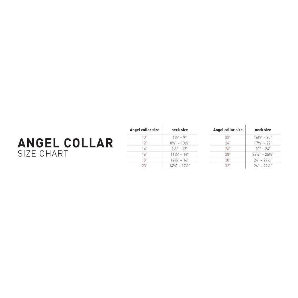 Dog Collar S9992