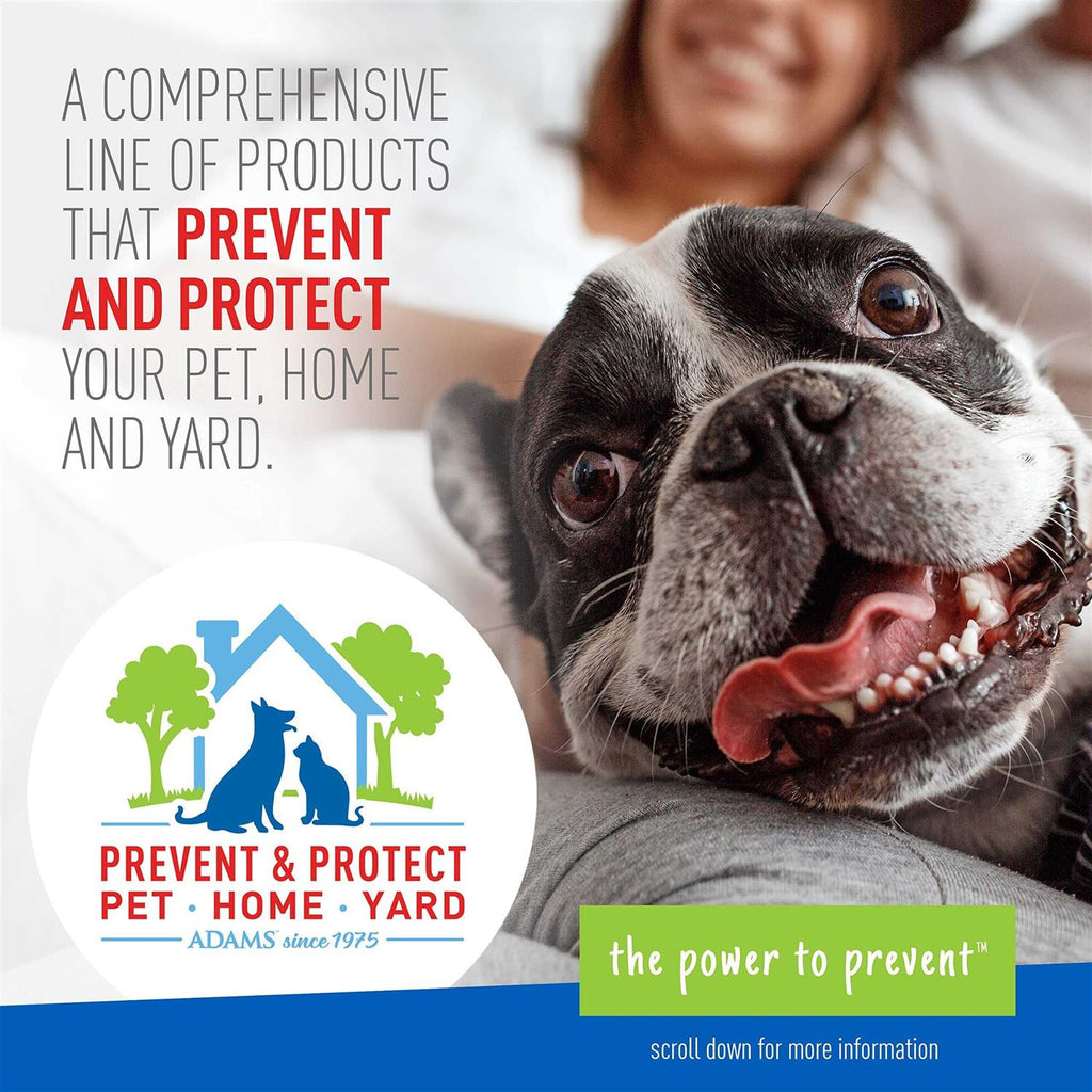 Flea Tick Shampoo J391