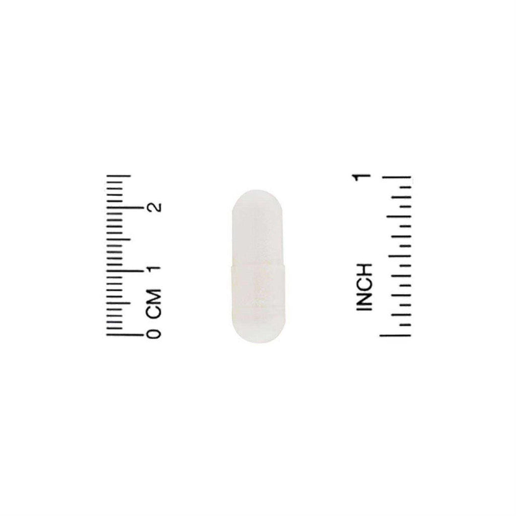 Pet Probiotics T588