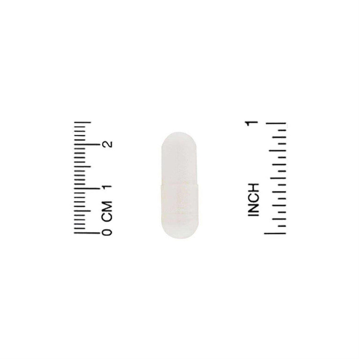 Pet Probiotics T588