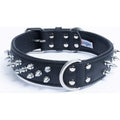 Dog Collar S9992